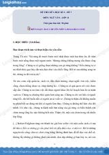 Đề kiểm tra giữa học kì II Ngữ văn 11 - Đề số 7 có lời giải chi tiết